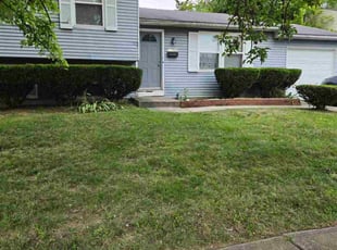 Paulette P.'s Bush Trimming service result