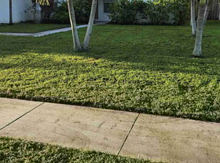 Eric K.'s lawn maintenance service result