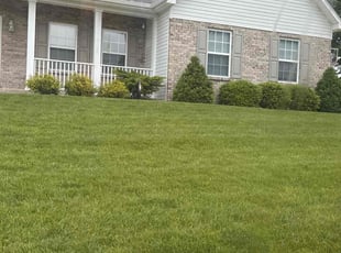 Robin W.'s lawn care service result