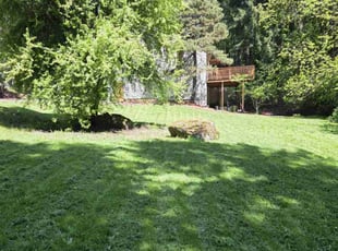 Stan J.'s grass cutting service result