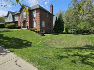 Sylvia D.'s lawn care service result