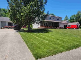 Diana D.'s grass cutting service result
