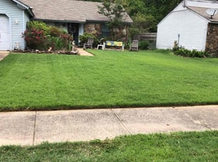 Lisa S.'s grass cutting service result