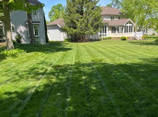 Henry M.'s turf care service result
