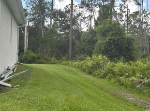 Venita Y.'s lawn service service result