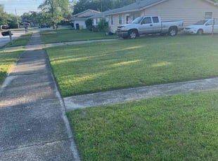 Donald S.'s turf care service result