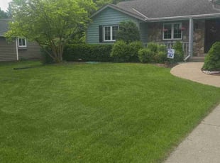 Victoria C.'s yard work service result