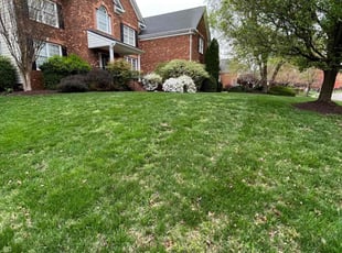 Marva M.'s lawn care service result