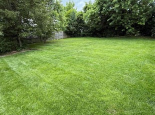 Beverly H.'s lawn care service result