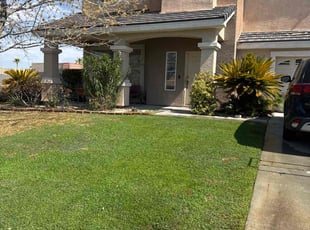 Christopher L.'s lawn maintenance service result