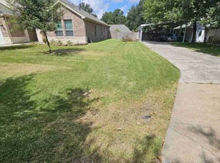 Yevette B.'s turf care service result