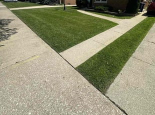 Jim E.'s turf maintenance service result