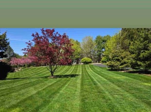 Johanna S.'s gardening service service result