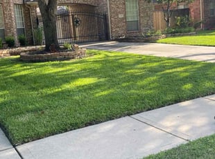 Stephanie M.'s turf maintenance service result