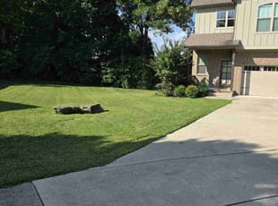 Nancy S.'s turf care service result