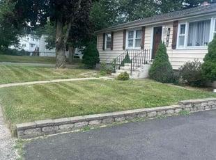 Lekeya H.'s lawn care services service result