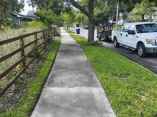 Robert D.'s grass cutting service result