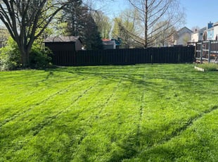 Crystalyne M.'s lawn maintenance service result
