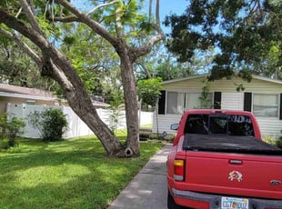 Nicholas B.'s lawn care service result