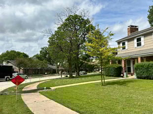 Antonio W.'s residential landscaping service result