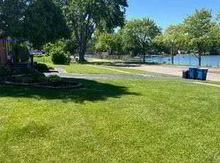 Zach F.'s lawn care service result