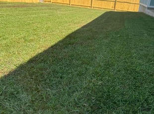 Sandra W.'s lawn care service result