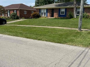 Linda B.'s yard care service result