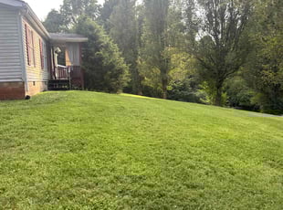 Greg G.'s grass maintenance service result