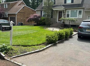 Chris S.'s lawn care services service result