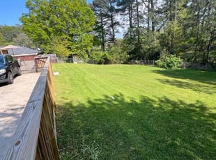 Kamille C.'s turf maintenance service result