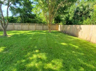 Wendy V.'s turf care service result