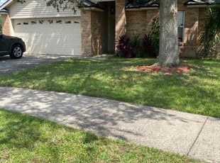Sherrie M.'s grass cutting service result