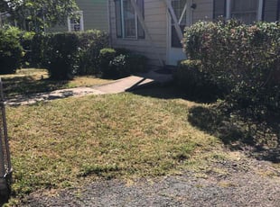 Kristi H.'s Bush Trimming service result