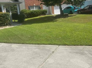 Shashank G.'s grass maintenance service result