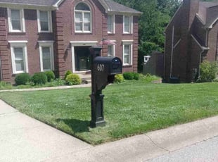 Gale C.'s grass maintenance service result