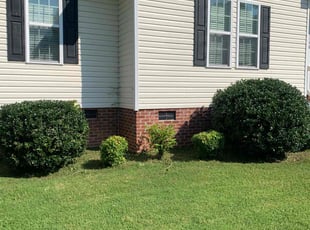 Chuck B.'s Bush Trimming service result