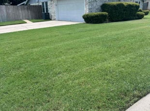 Terry A.'s lawn maintenance service result