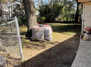 Jorge R.'s Bush Trimming service result