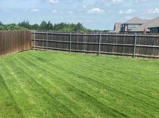 Sonny K.'s lawn maintenance service result