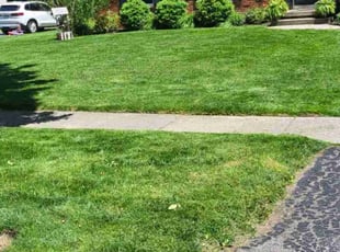 Jose G.'s lawn service service result