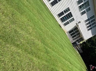 Jessica T.'s grass cutting service result