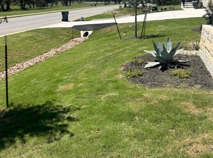 Kristi N.'s grass maintenance service result