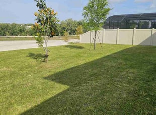 Sheila C.'s Long Grass Cleanup service result