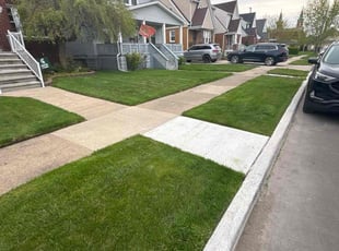 Matt H.'s lawn service service result