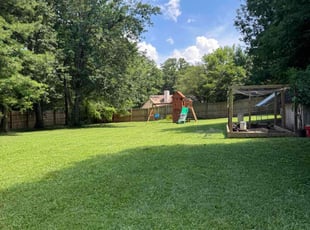 Tajuana P.'s turf care service result