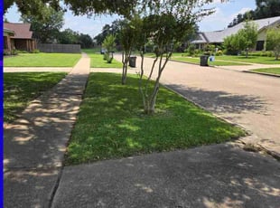 Dominic B.'s lawn maintenance service result