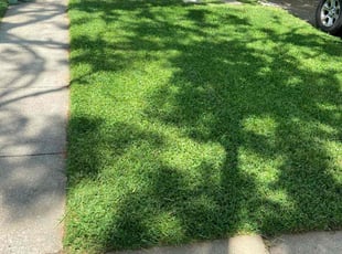 Christopher L.'s grass maintenance service result