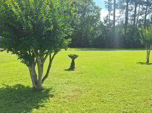 Victoria R.'s turf maintenance service result