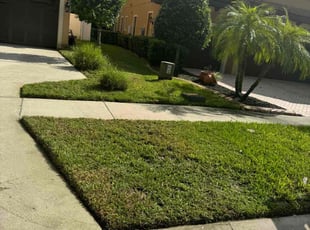 AnnaMarie M.'s lawn service service result