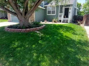 Randall P.'s turf maintenance service result